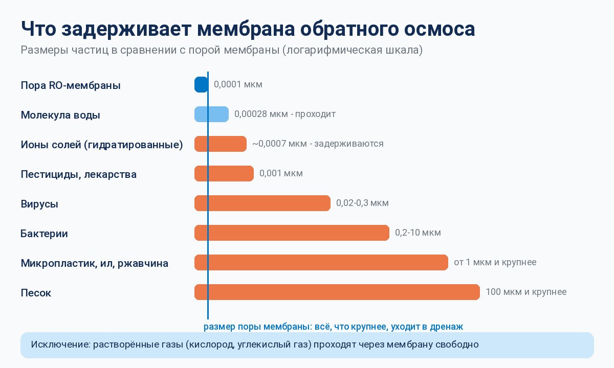 Инфографика - что задерживает мембрана обратного осмоса: размеры солей, вирусов и бактерий в сравнении с порой 0,0001 мкм Экодар Инфографика - что задерживает мембрана обратного осмоса: размеры солей, вирусов и бактерий в сравнении с порой 0,0001 мкм