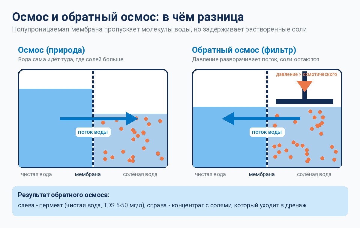Инфографика - чем осмос отличается от обратного осмоса: направление потока воды через полупроницаемую мембрану Экодар Инфографика - чем осмос отличается от обратного осмоса: направление потока воды через полупроницаемую мембрану